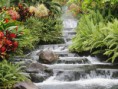/album/fotogaleria-inicio/waterfall-jpg/
